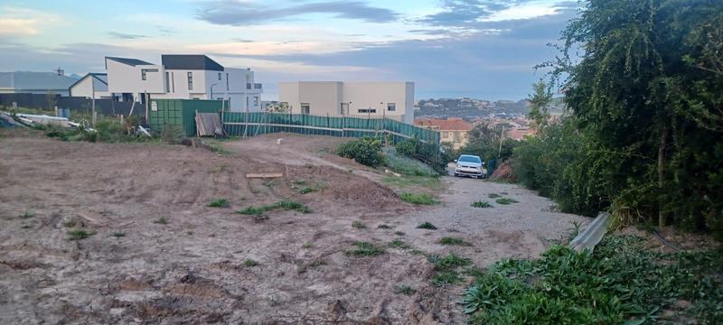0 Bedroom Property for Sale in Whale Rock Western Cape